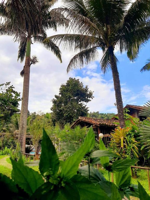 Beija-flor Inn Paraty